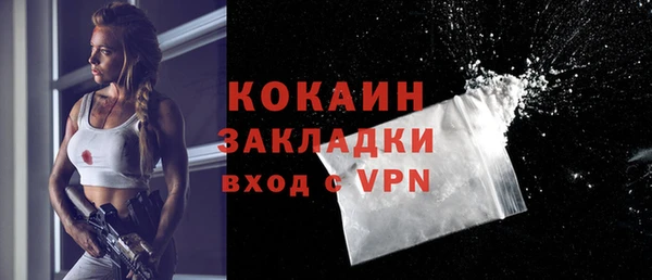 соль ск Алексин