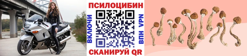 маркетплейс наркотические препараты  Талдом  Псилоцибиновые грибы MAGIC MUSHROOMS 